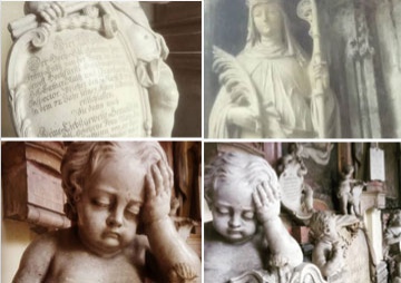 Gallery - Struts & Frets